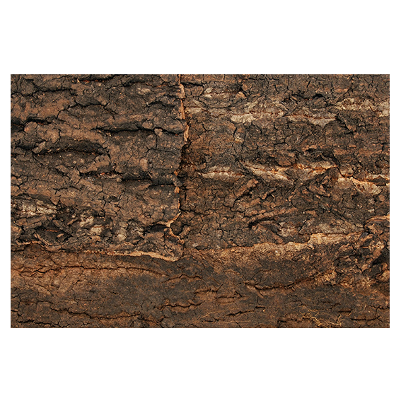 Naturkorkrückwand, ca. 28,5 x 28 x 2 cm