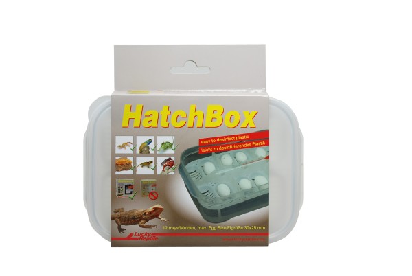 Lucky Reptile Hatch Box, Brutdose ca. 20x11 cm