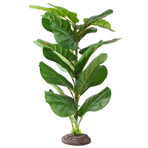Hobby Marantha Tree
