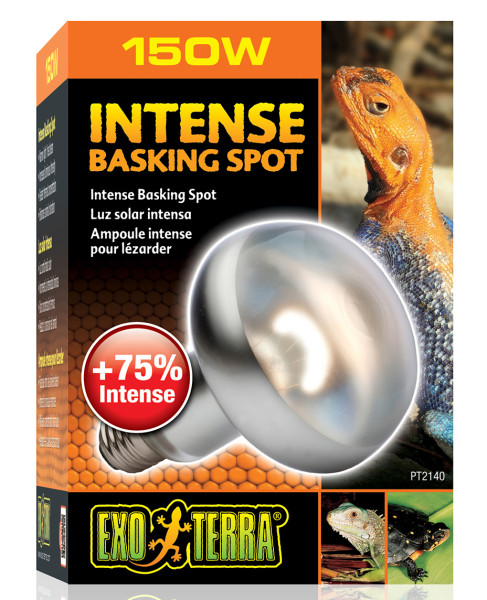 Exoterra Intense Basking Spot