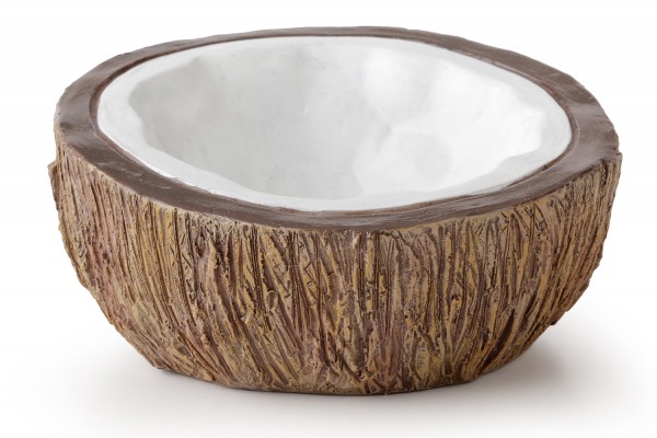 Exoterra Coconut Kokosnuss Wasserschale, 10x10x4,5