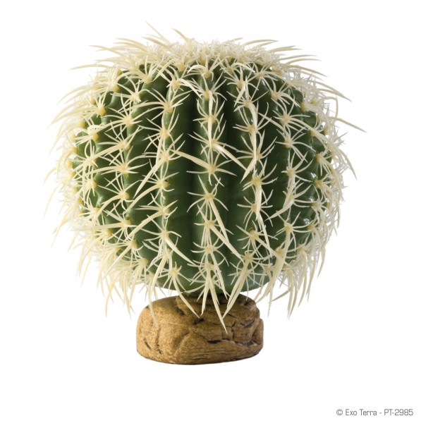 Exoterra Desert Plants Barrel Kaktus