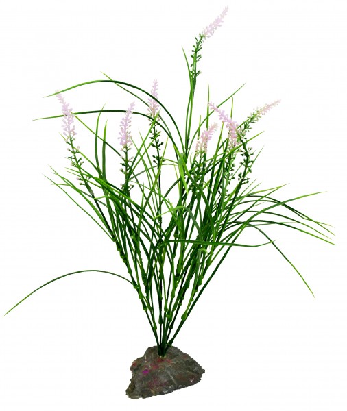 Lucky Reptile Mediterranes Gras, ca. 40 cm
