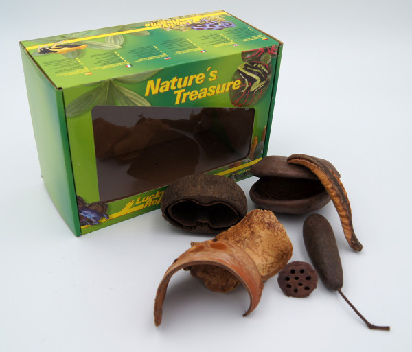 Lucky Reptile Nature`s Treasure - Deko Box