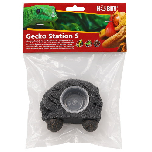 Hobby Gecko Station S