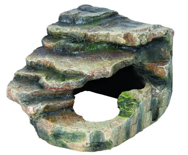 Eck-Fels mit Höhle Regenwaldoptik