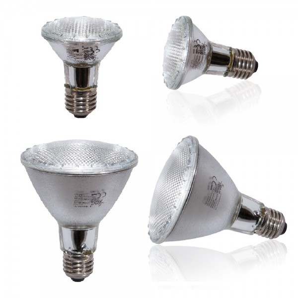 Solar Raptor UV Halogen Spot