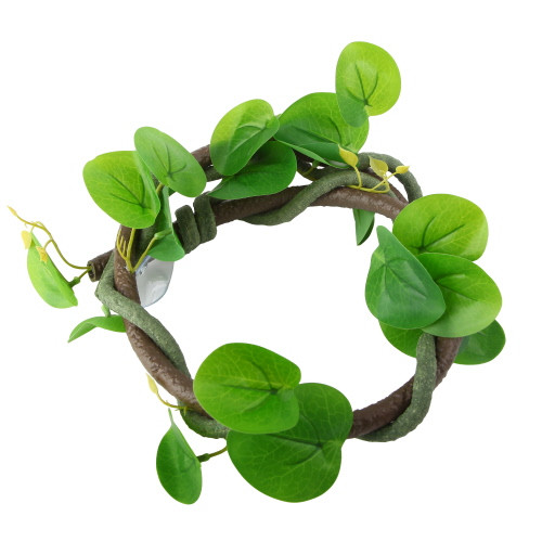 Hobby Jungle Vine 1