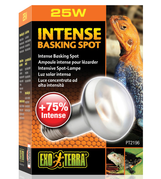 Exoterra Intense Basking Spot