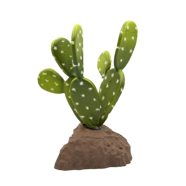 Lucky Reptile Biberschwanzkaktus ca. 15cm