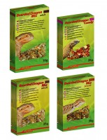 Lucky Reptile Bearded Dragon Adult & Juvenile Lucky Reptile Bearded Dragon Adult & Juvenile