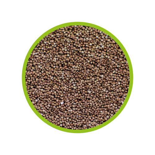 Hobby Artemia Eier, 150 ml