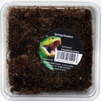 Springschwänze Zuchtansatz Dose Springschwänze Zuchtansatz Dose