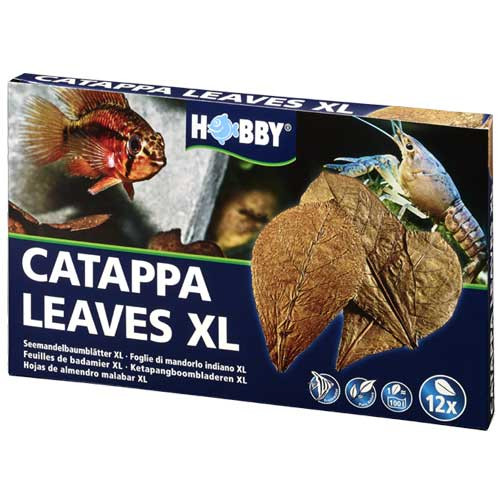 Hobby Catappa Leaves XL, 12 St., SB