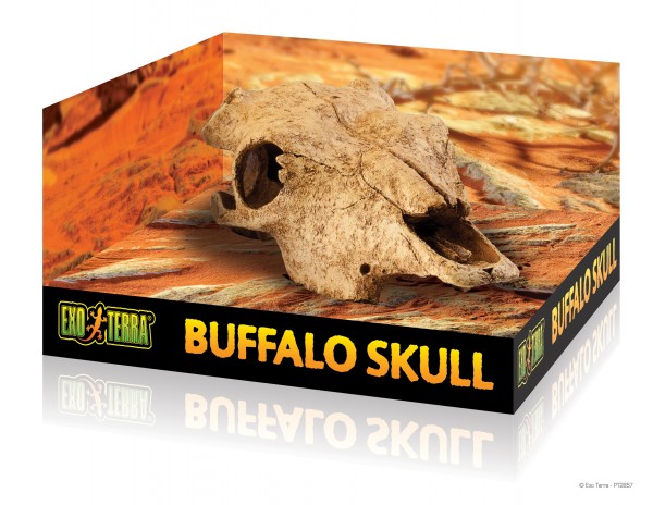 Exoterra Buffalo Skull, Büffelschädel