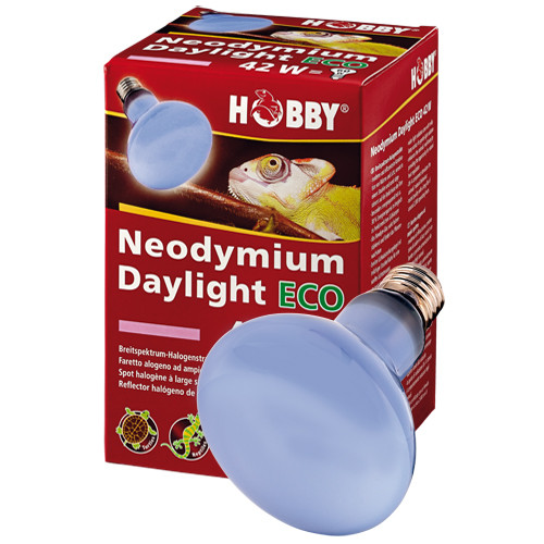 Hobby Neodymium Daylight Eco