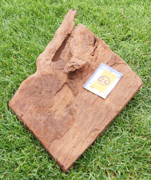 Mangrovenwurzel L Einzelstücke