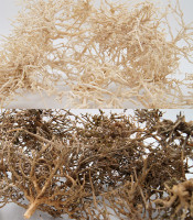 Outback Bush Hell & Dunkel, 8-12er Set Outback Bush Hell & Dunkel, 8-12er Set