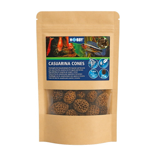 Hobby Casuarina Cones, 25 St. - BT