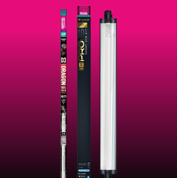 Arcadia LumenIZE Pro T5 UVB Kit, D3+ Dragon, 14% UV-B