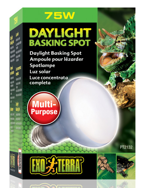 Exoterra Daylight Basking Spot