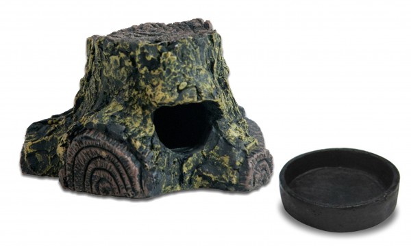 Frog Cave & Ersatzschalen