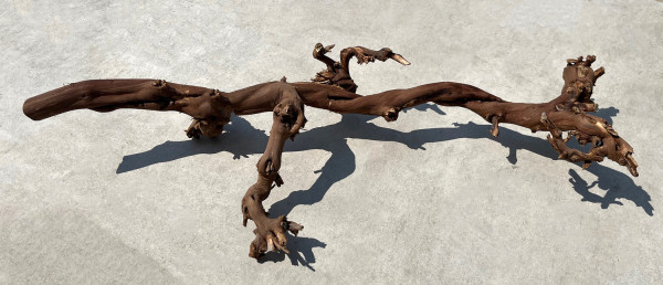 Lucky Reptile Rebholz dunkel, dunkelbrauner Ast quer auf grauem Steinboden mit Schatten