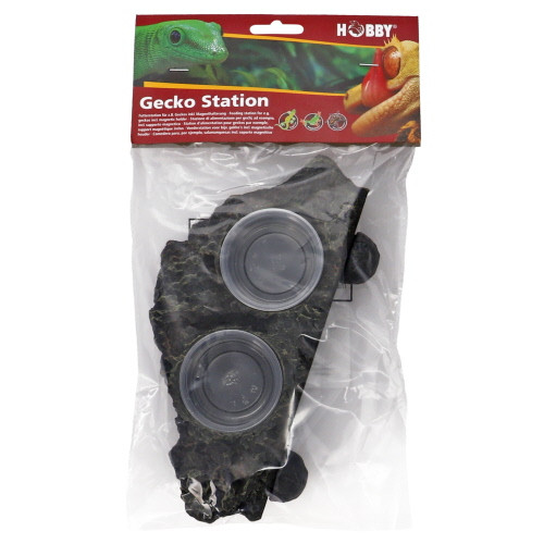 Hobby Gecko Station