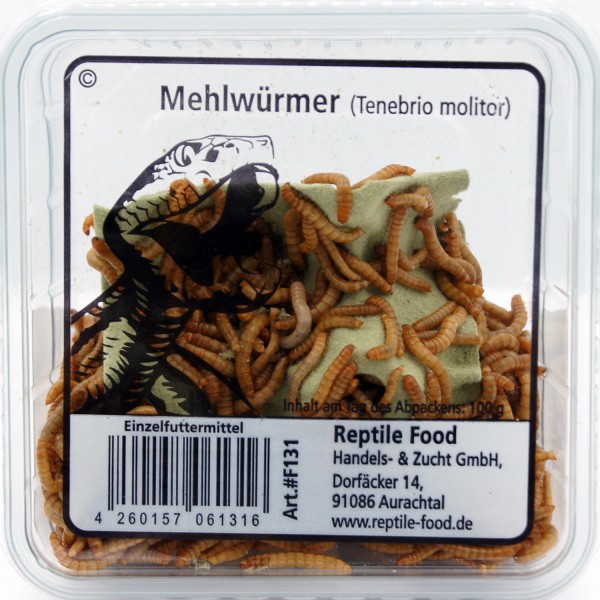 Mehlwürmer (Tenebrio Molitor)