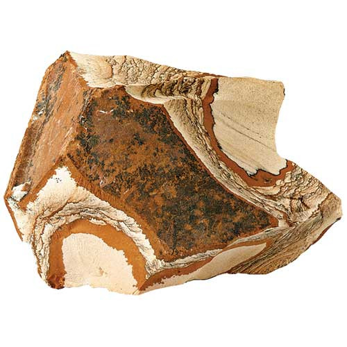Hobby Picture Jasper, 4 St. Netz