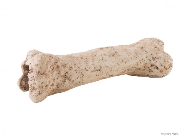 Exoterra Dinosaurier Bone, Knochen