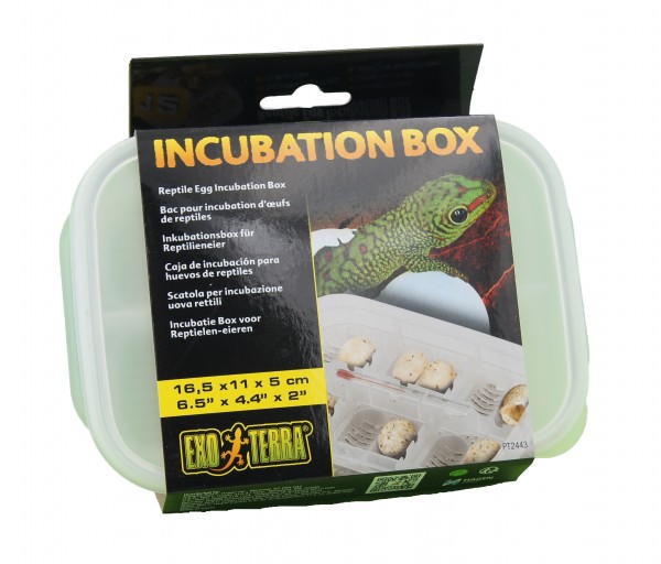 Exoterra Inkubations-Box