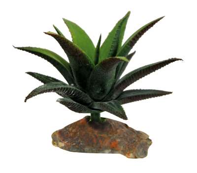 Kunstpflanze Hanf  naturnahe und langlebige Kunststoffpflanze frs  Terrarium | TerraristikShop.net