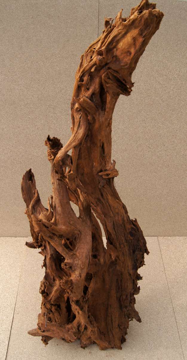 wpc pflanztopf WPC Pflanztopf Esens 100x50x50cm neu.holz