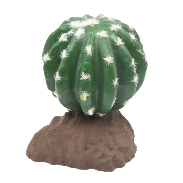 Lucky Reptile Kugelkaktus ca. 15cm