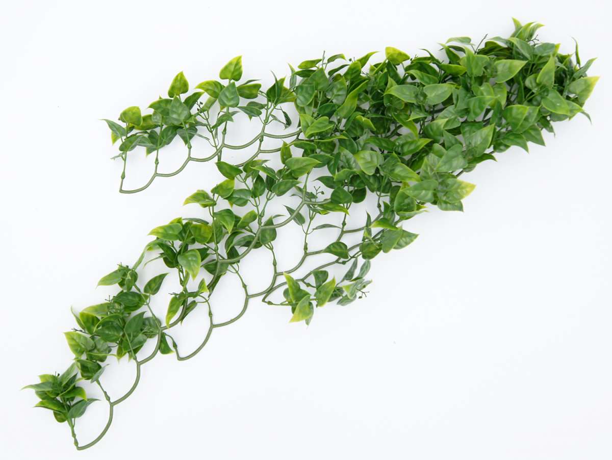 Kunstpflanze Wilder Wein fr Terrarien - Tuschend echt, pflegeleicht,  hygienisch & naturnah | TerraristikShop.net