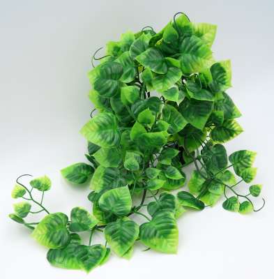 Knstliche Pflanzen fr Ihr Terrarium | TerraristikShop.net