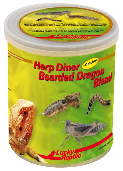 Lucky Reptile Herp Diner