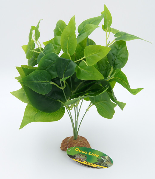 Lucky Reptile Golden Pothos auf Steinsockel, ca. 35 cm