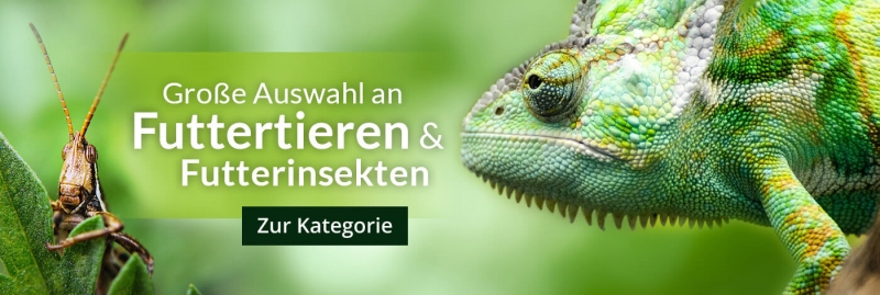 Futterinsekten und Futtertiere