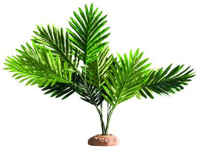 Kunstpflanze Hanf  naturnahe und langlebige Kunststoffpflanze frs  Terrarium | TerraristikShop.net