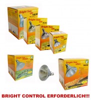 Lucky Reptile Bright Sun UV DESERT für Wüstenterrarien Lucky Reptile Bright Sun UV DESERT für Wüstenterrarien