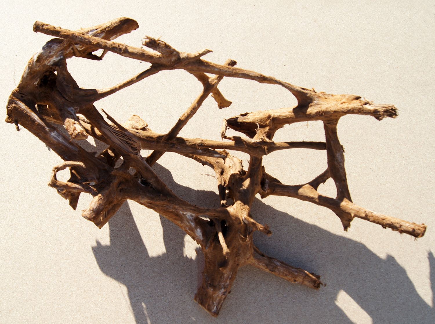 Mangrovenwurzel Gre XL  Naturwurzel fr Terrarien & Aquarien |  TerraristikShop.net