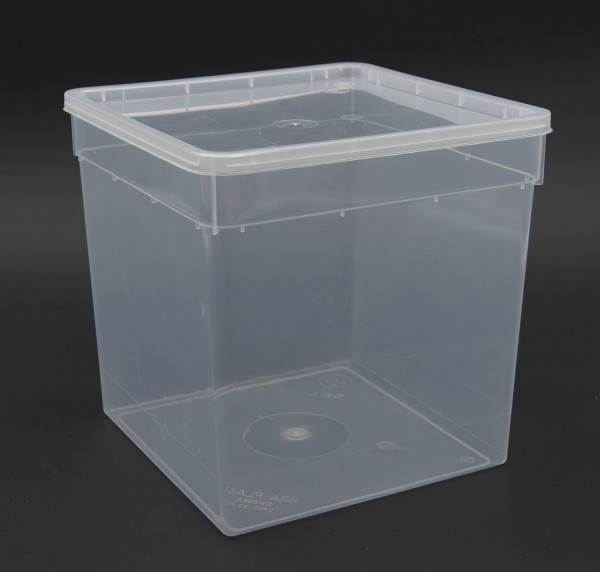 5er PACK - Braplast Dosen mit Deckel transparent|weiß|schwarz